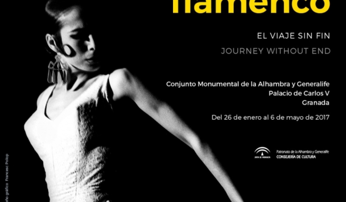 Colita flamenco. El viaje sin fin