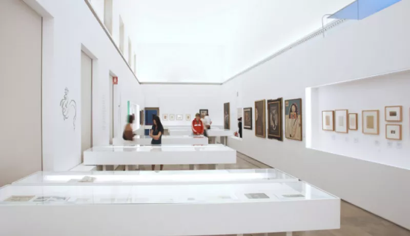 Gallo. Interior de una revist
