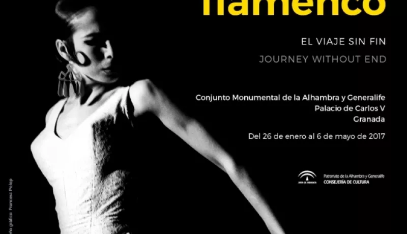 Colita flamenco. El viaje sin fin